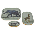 Plateau Set de 3 Safari