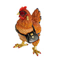 Poulet fou, multicolore