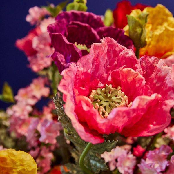 Poppy, violet — vue 2