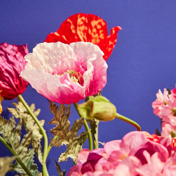 Pavot, lilas — vue 2