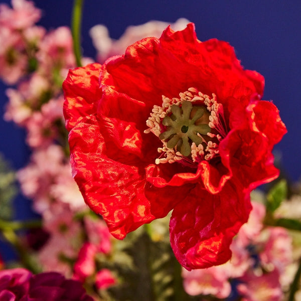 Poppy, rouge — vue 2