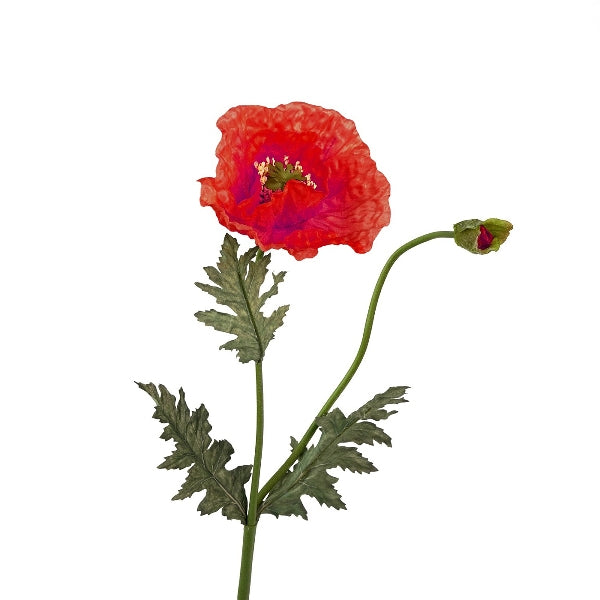 Poppy, rouge