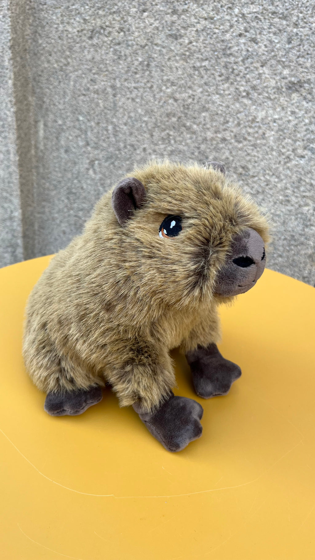 Peluche Capybara 25cm