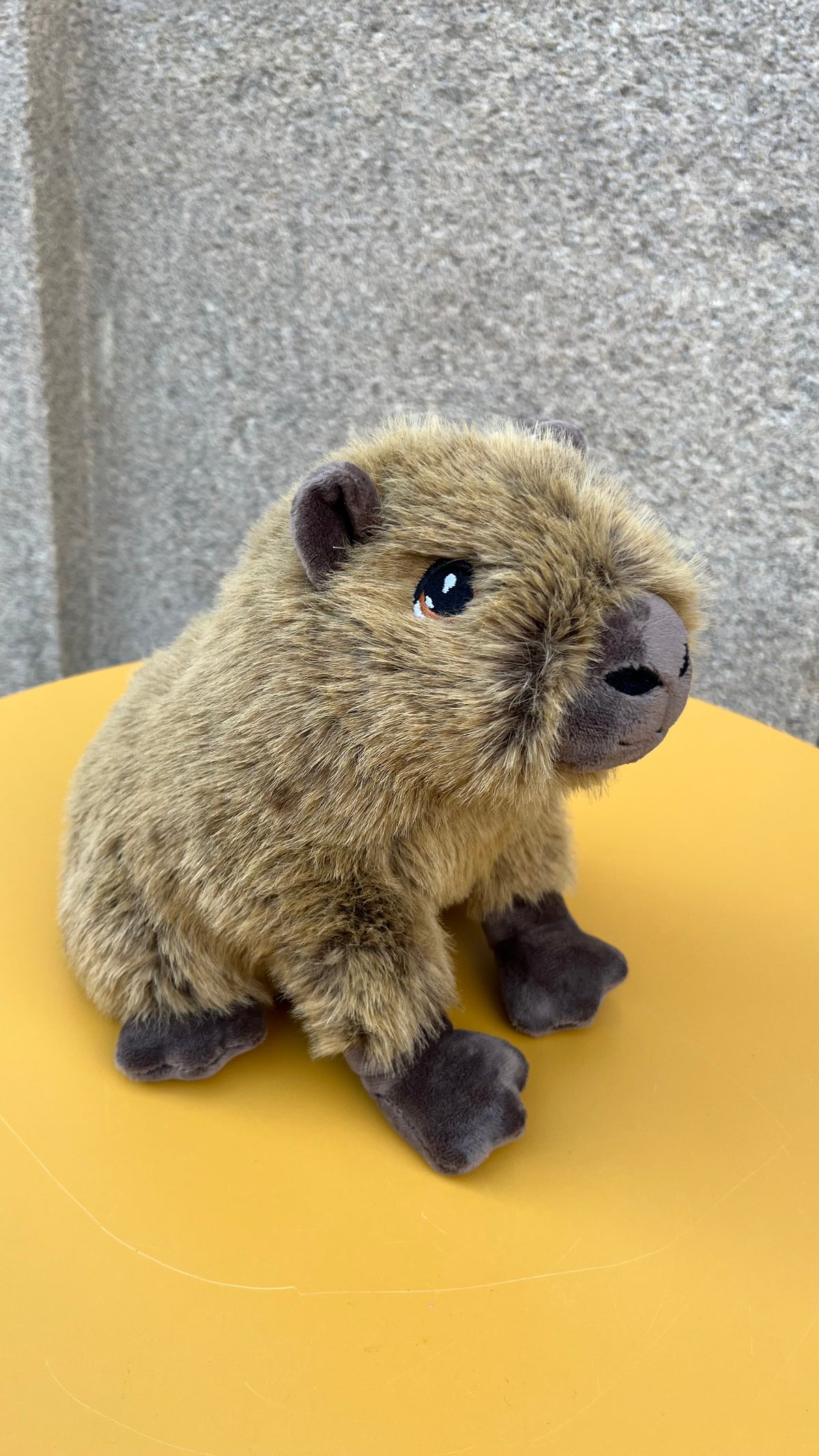 Peluche Capybara 25cm
