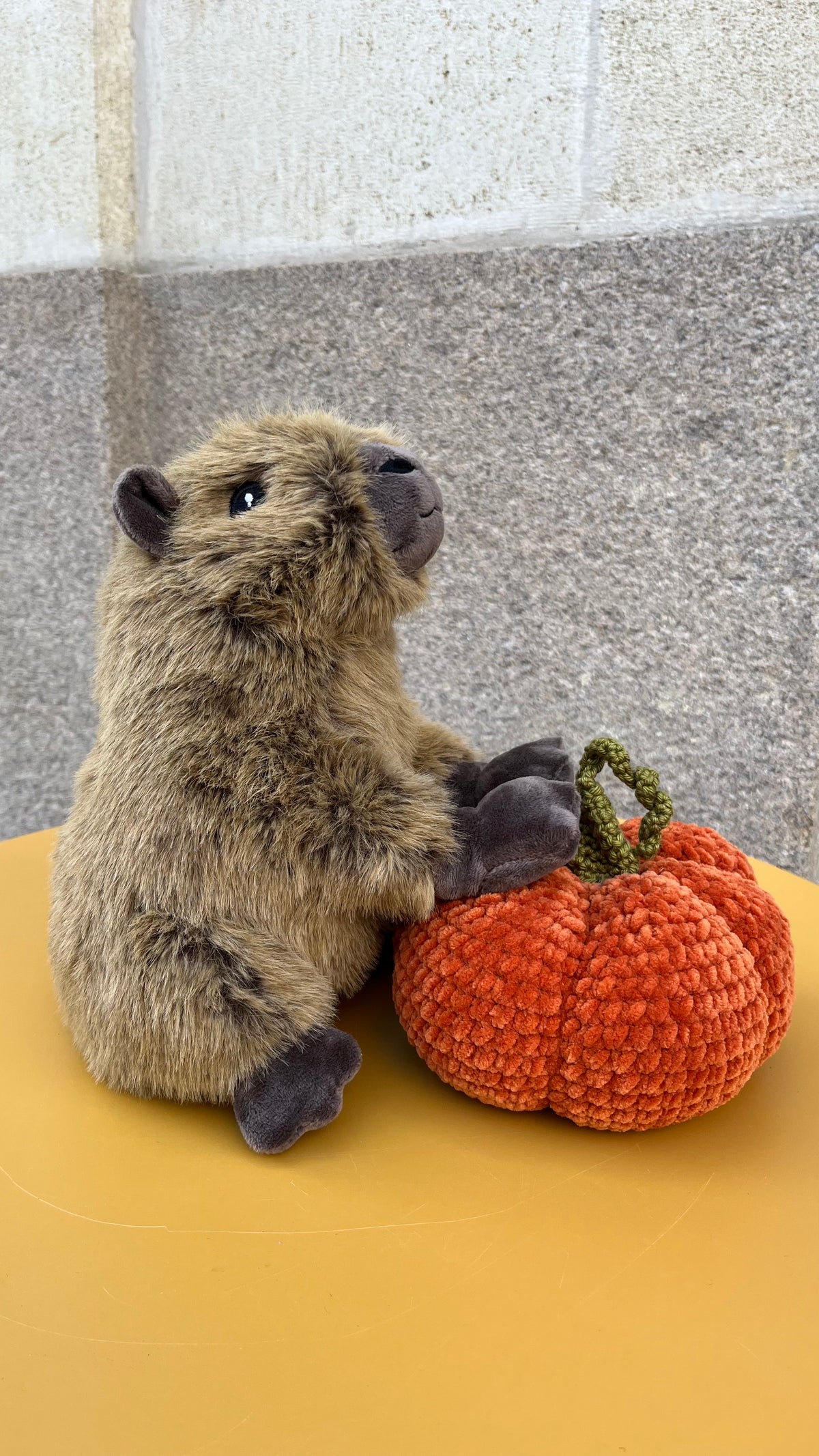 Peluche Capybara 25cm