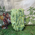 Vase cosse de pois, vert