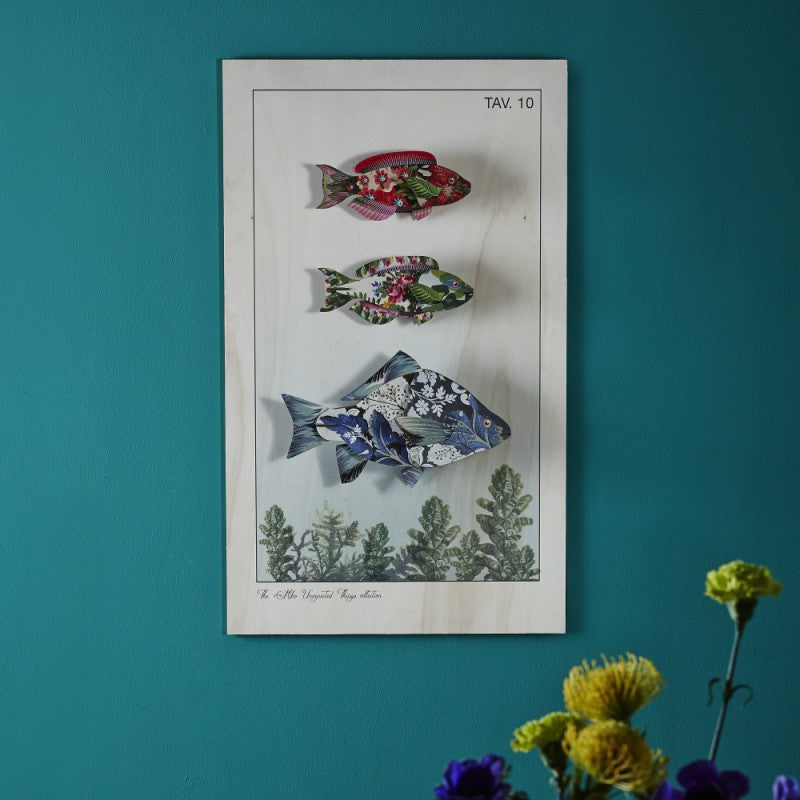 Grand poisson décoratif Carpe Diem – vue 3