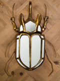 Scarabée rhinocéros mural et miroirs - vue 1
